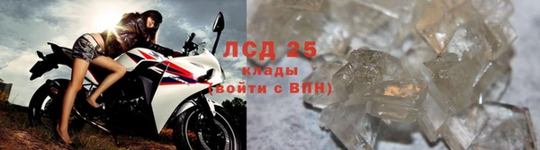 дживик Баксан