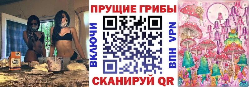Псилоцибиновые грибы прущие грибы  купить   нарко площадка состав  Кущёвская 
